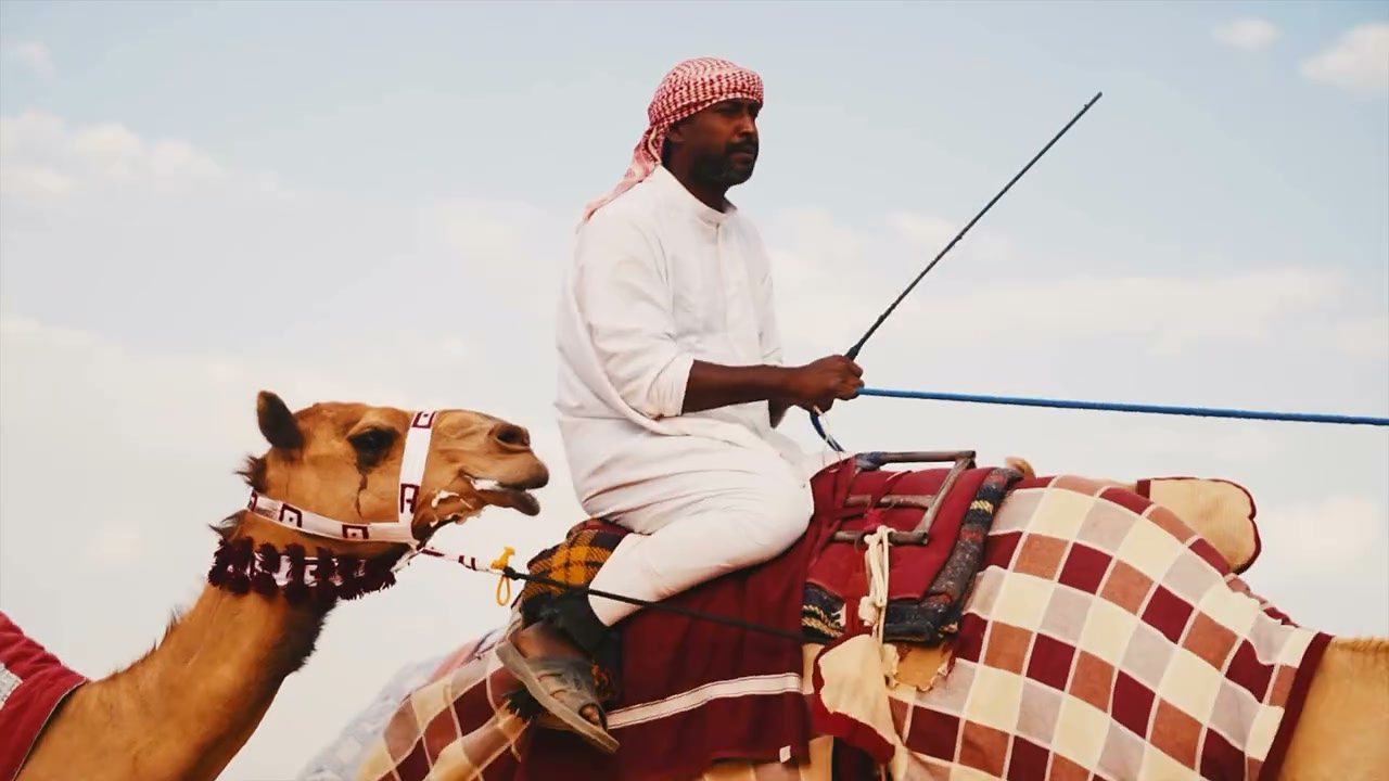A handler rides out on a camel in a checked saddle cloth